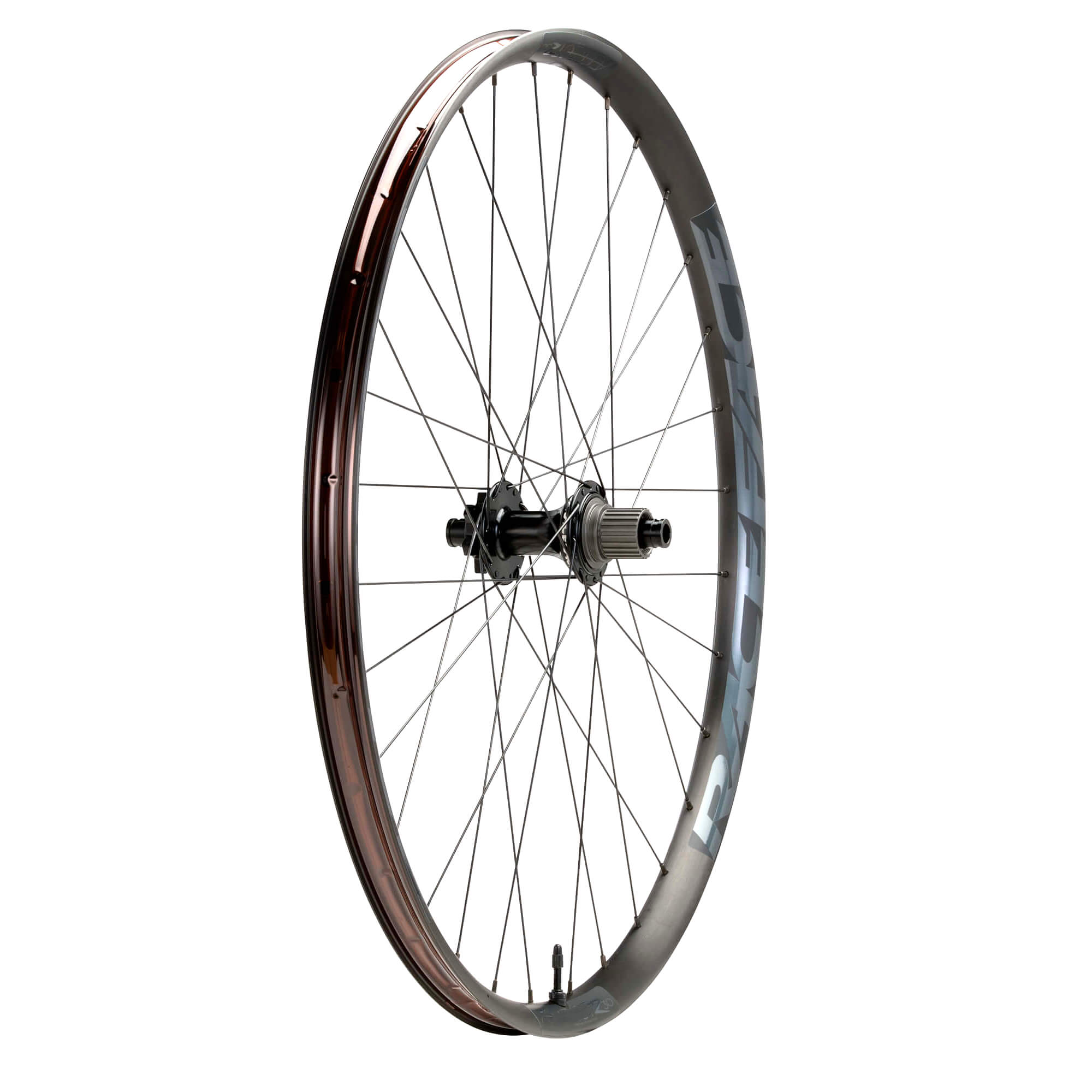 29 inch rear bike rim